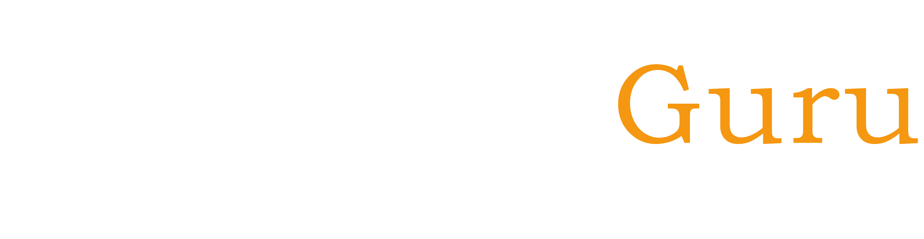 Custom Software Development by NewGenGuru